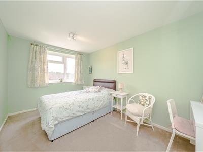 Picture 14